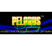 Pelorus