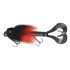 Бактейл CWC Miuras Mouse Mini 20см 40г #012 Dracula