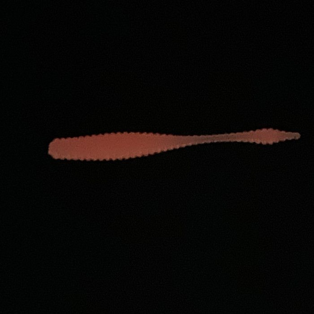 Силикон Big Baits Ribbed Leech 1.8" #015 red/glow (10шт.)