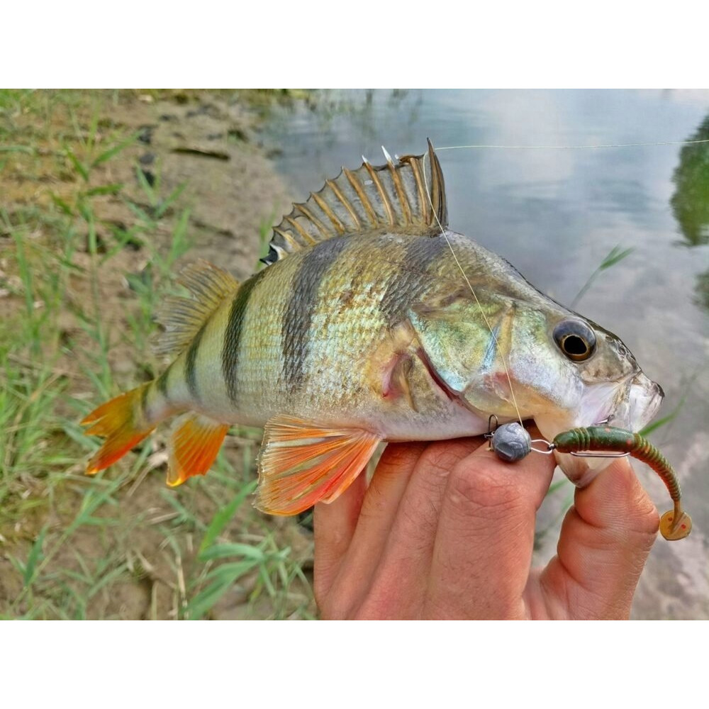 Виброхвост Lucky John Tioga 3.4" 8.6 см #071 Lime Chartreuse (6 шт.)
