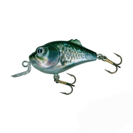 Воблер плавающий Salmo Boxer BX7SR 7.0см 22.0г #RBS