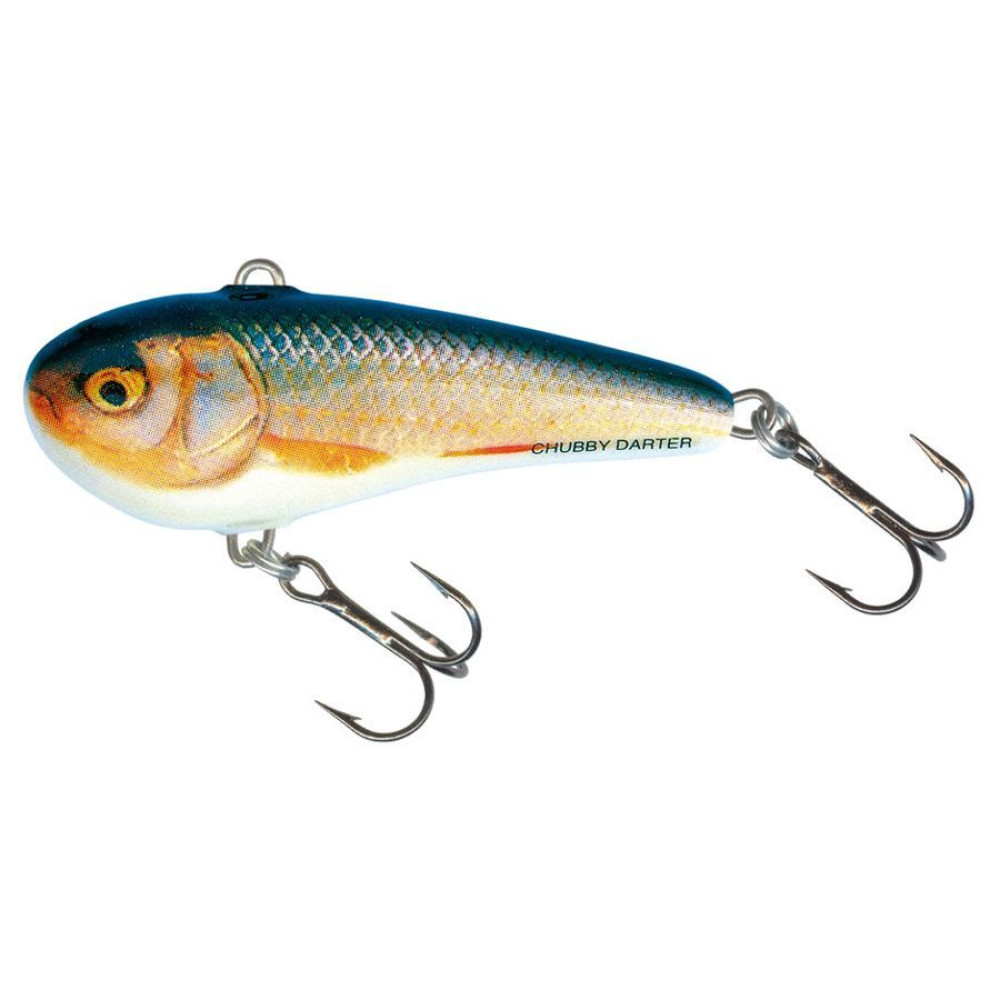 Воблер тонущий Salmo Chubby Darter CD6 6.0см 15.0г #RR