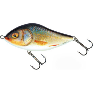Воблер плавающий Salmo Slider SD10F 10.0см 36.0г #RR