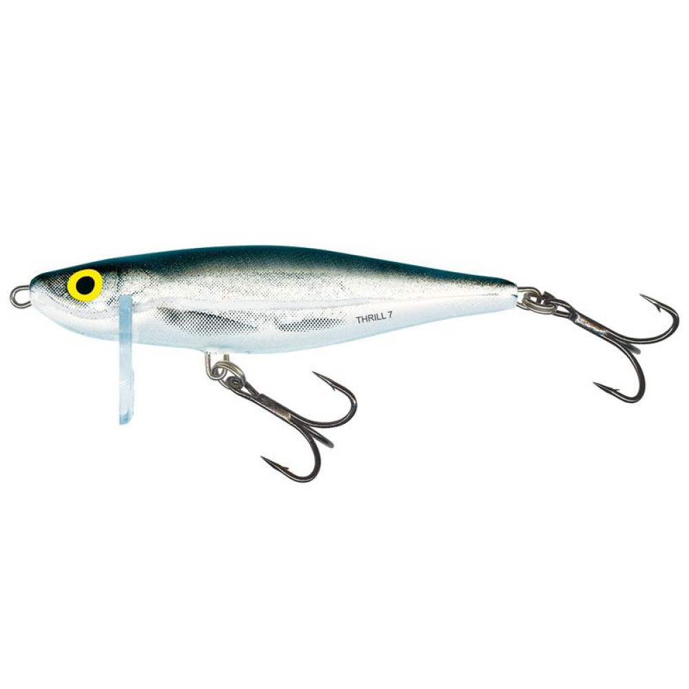 Воблер тонущий Salmo Thrill TH9 9.0см 22.0г #BMB