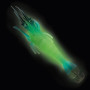 Кальмарница Lineaeffe Glowing Squid Jigs #3.5 110mm 20.0g Pink Luminous