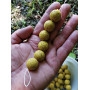 Нитка ПВА Tandem Baits PVA String Heavy (10м)